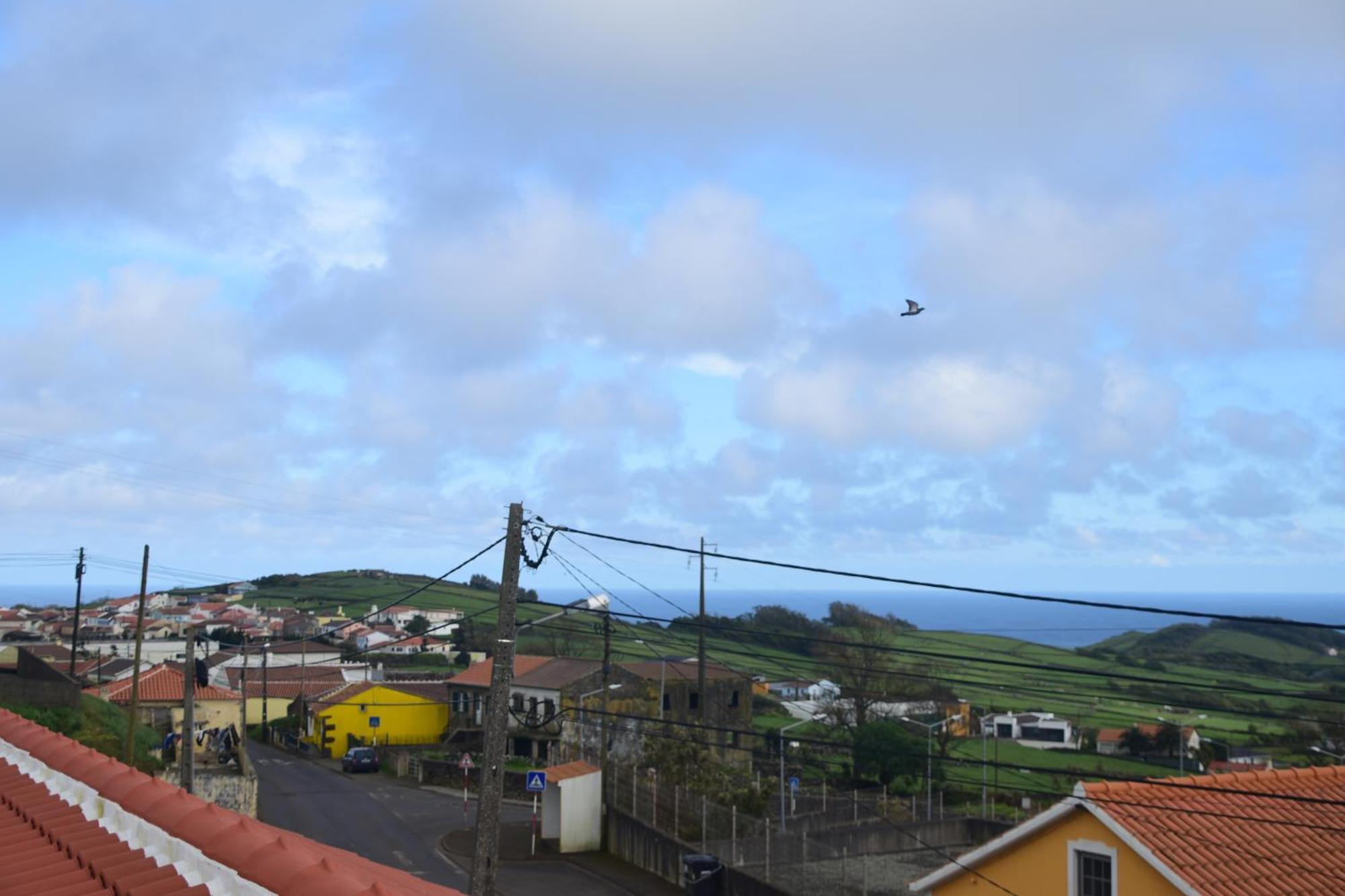 Sao Sebastiao Casa Das Buganvilias מראה חיצוני תמונה